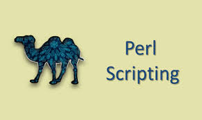 perl training